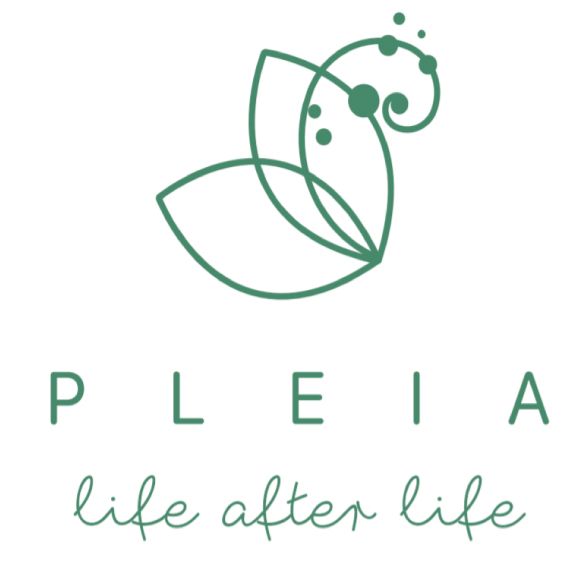 Pleia