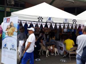 expomascotas 2