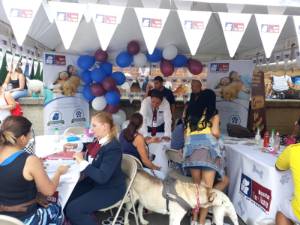 expomascotas 3