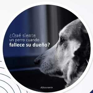 publicacion 6